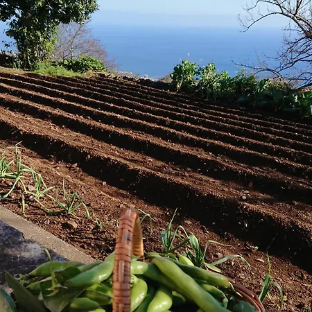 Σπίτι διακοπών Madeira Island Rustic Mountain Estreito de Câmara de Lobos