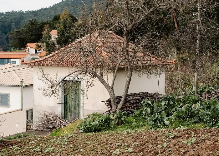 Madeira Island Rustic Mountain * Estreito de Câmara de Lobos