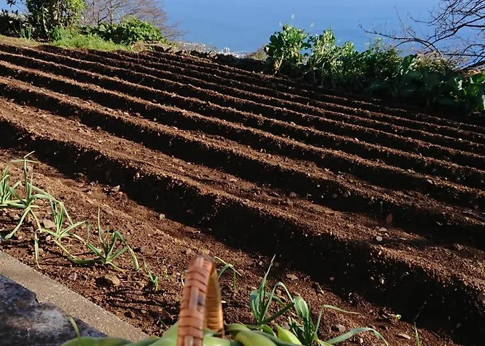 Casa de Férias Madeira Island Rustic Mountain Estreito de Câmara de Lobos