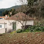 Madeira Island Rustic Mountain * Estreito de Câmara de Lobos