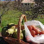 Casa de Férias Madeira Island Rustic Mountain