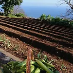 Casa de Férias Madeira Island Rustic Mountain Estreito de Câmara de Lobos