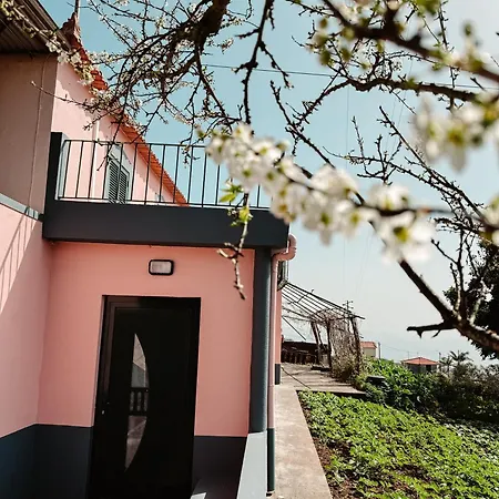 Semesterbostad Madeira Island Rustic Mountain *