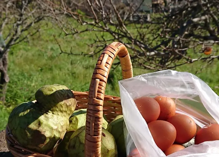 Prázdninový dům Madeira Island Rustic Mountain